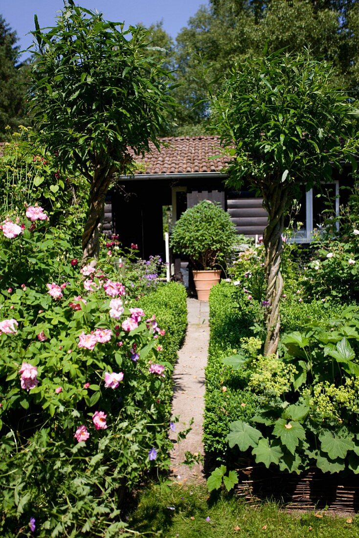 Path leading through flowering garden to log cabin