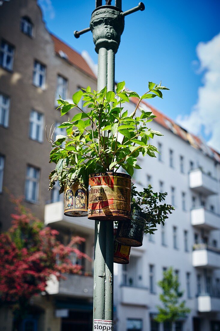 A flowerpot on a street lamp, Turkey