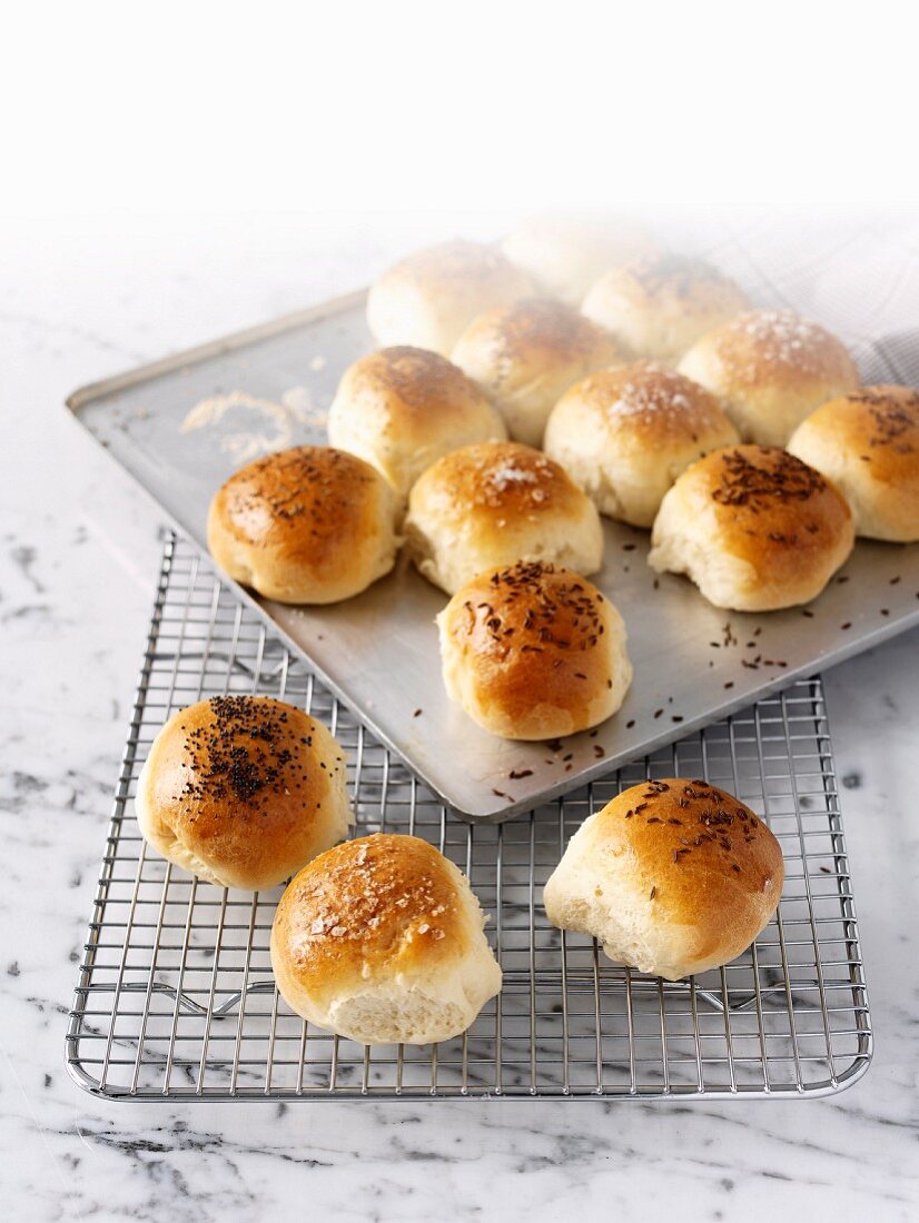 Dinner Rolls