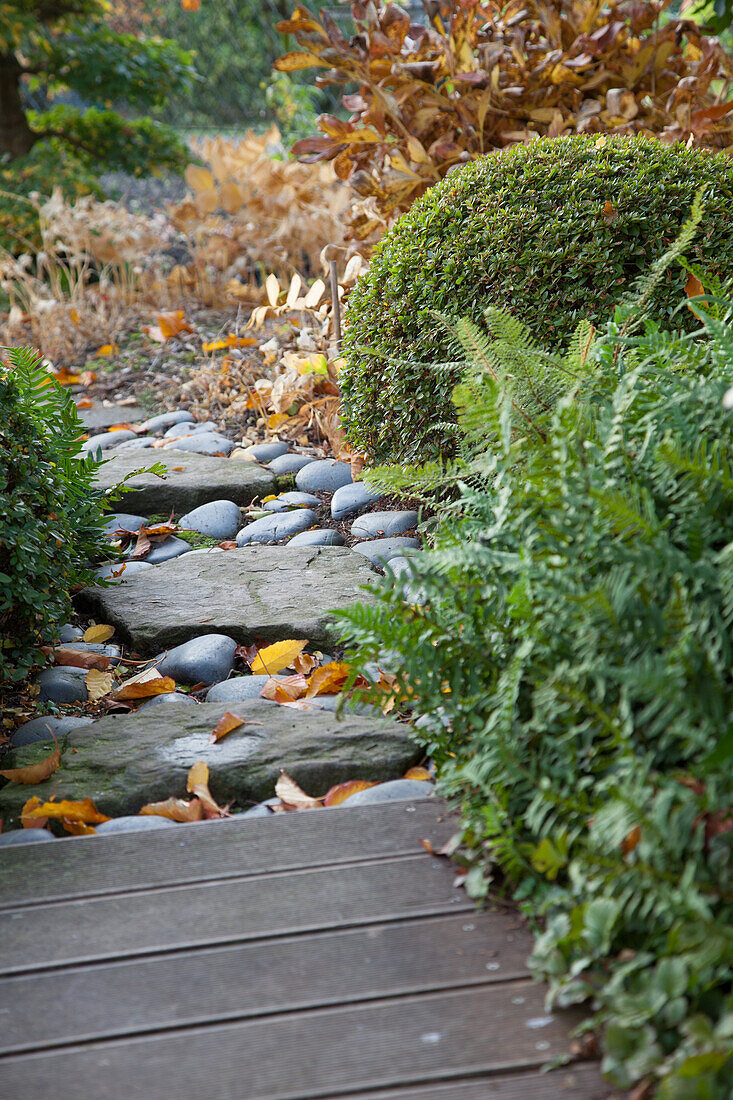 Oriental-style, autumnal garden