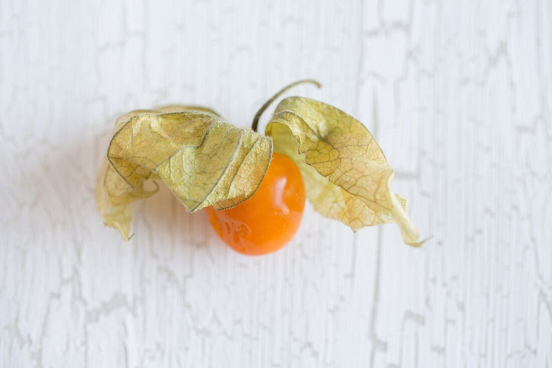 Physalis on a white surface