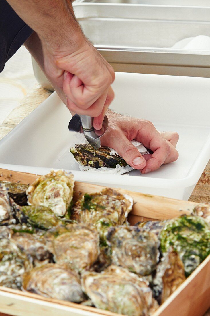 Oysters being opened at a wedding