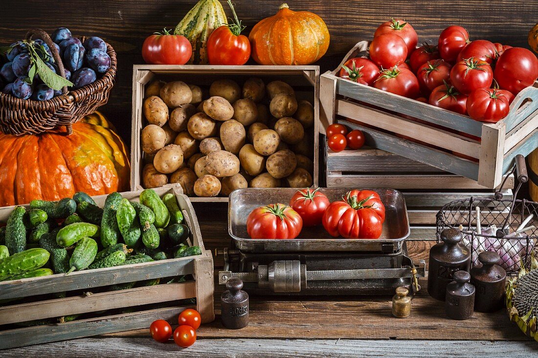 Various types of vegetables in crates and in a basket with plums