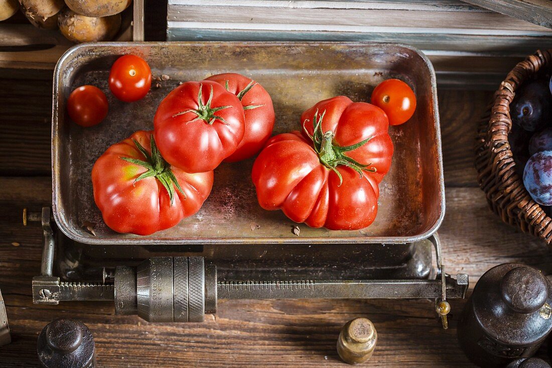Frische Tomaten auf alter Küchenwaage