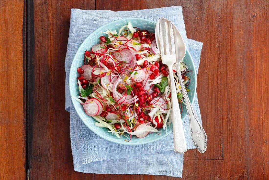 Kohlsalat mit Granatapfelkernen, Radieschen, Sprossen und roten Zwiebeln