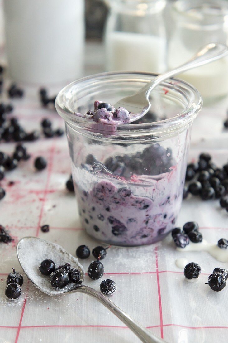 Yoghurt with wild blueberries