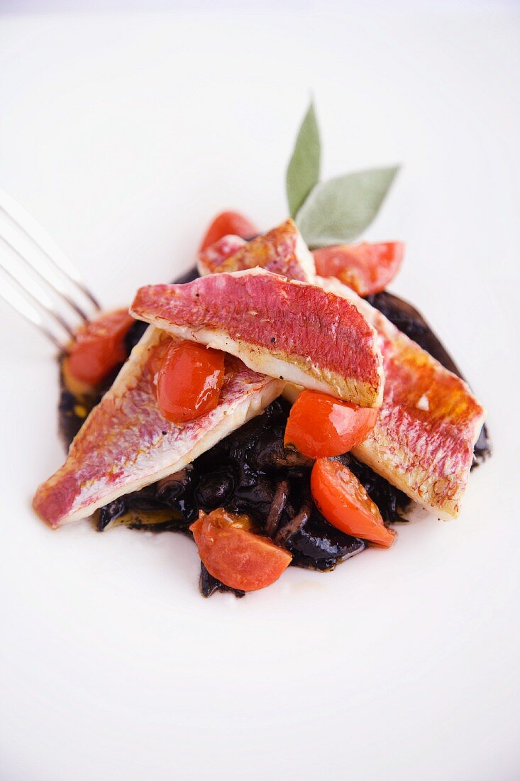 Seppie nere con filetti di triglia alla livornese (squid in black sauce with red mullet, Italy)