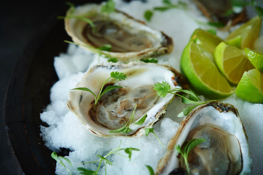 Raw oysters in half shells with herbs and limes