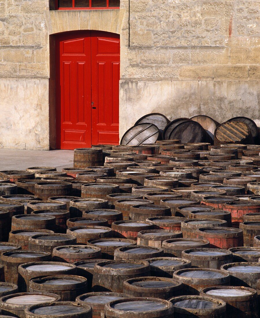 Fässer warten auf Weinlese,Gut Lopez de Heredia,Rioja,Spanien