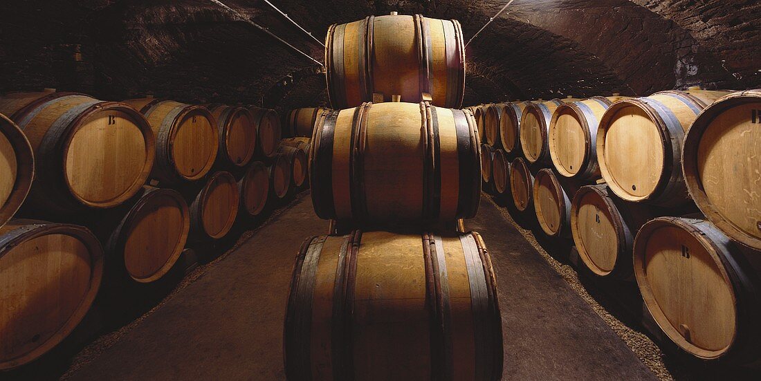 Weinfässer im Keller von Marc Colin, Gamay, Côte d'Or,Burgund