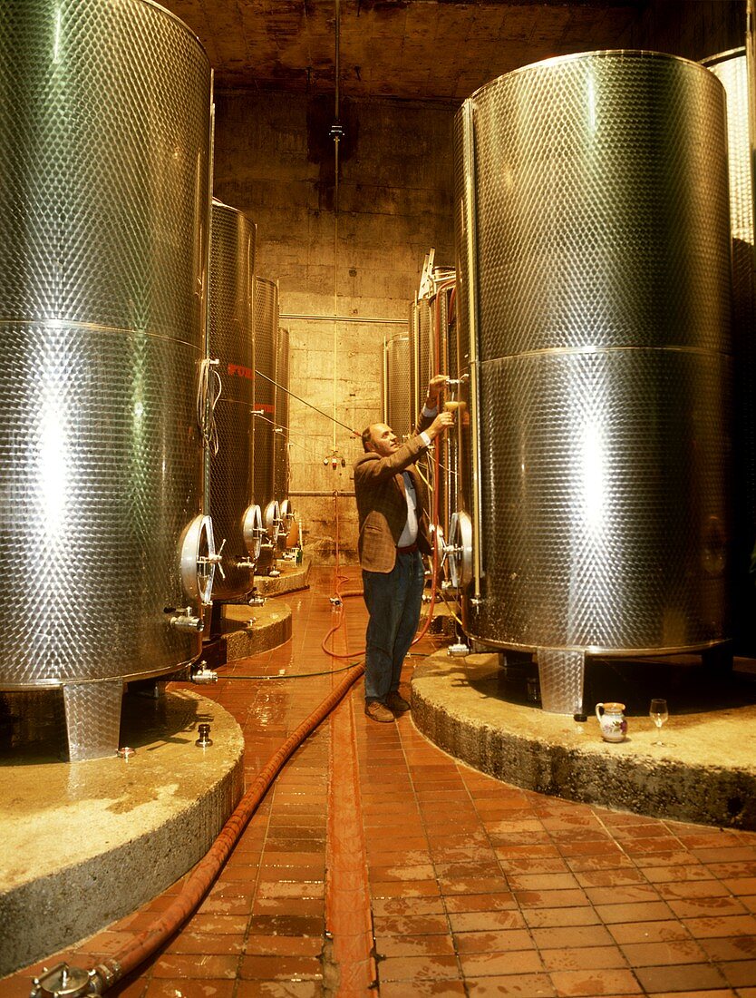 Weinkeller des Dinstlgut's in Loiben, Wachau, Österreich