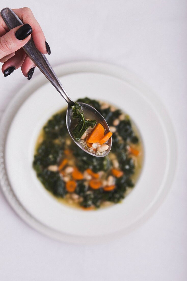 Grünkohlsuppe mit Möhren und Bohnen