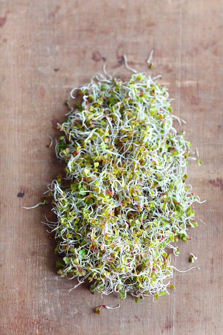 Radish sprouts on a wooden surface