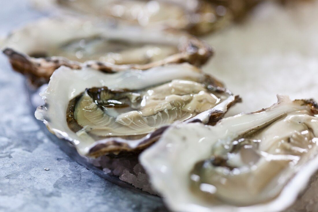 Fresh, opened oysters (close-up)