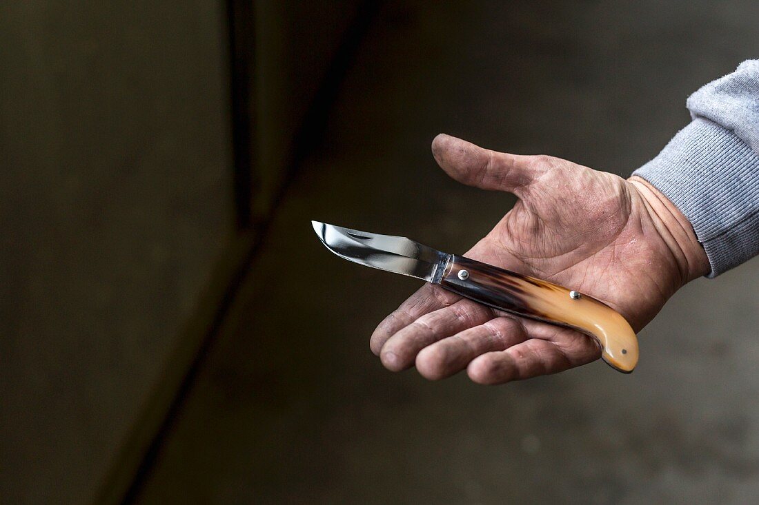 A hand holding a pocket knife with a horn handle