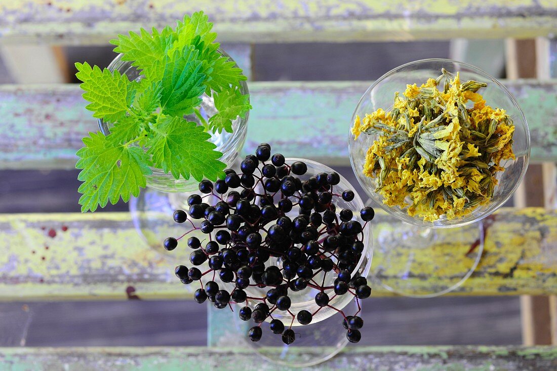 Frische Brennesseln, Holunderbeeren und getrocknete Blüten