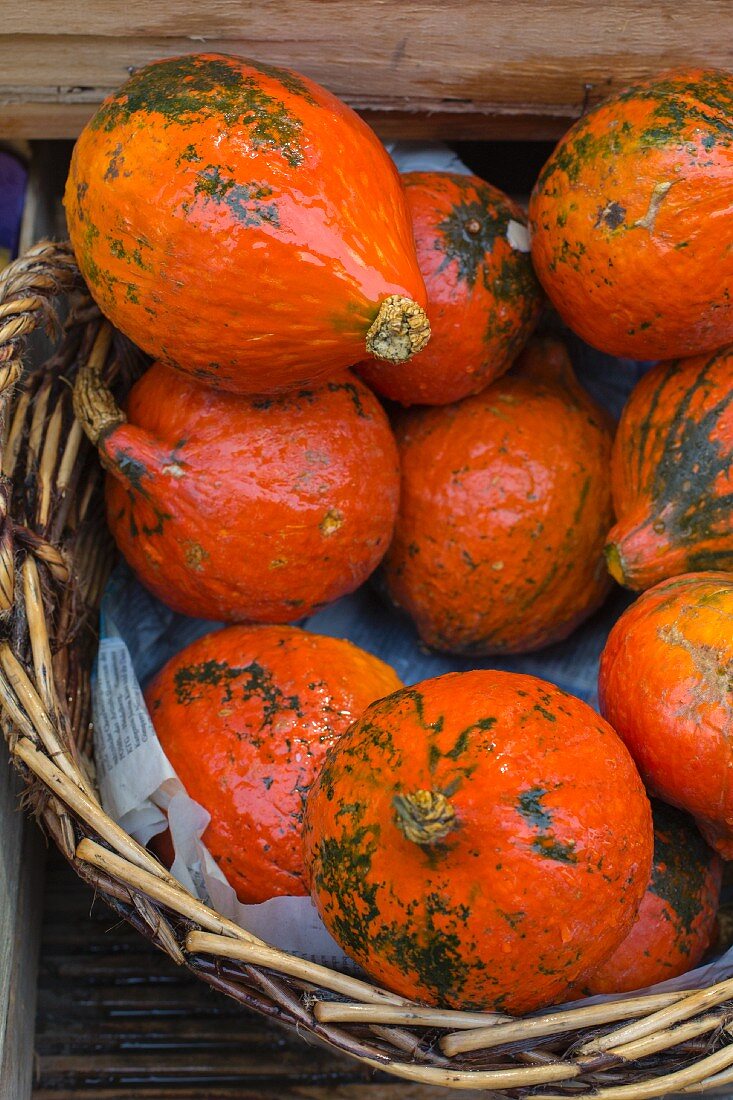 Organic Hokkaido pumpkins in a basket