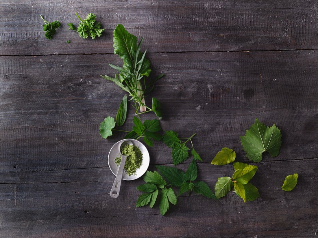 Leafy greens, grasses, wild herbs and leaves for making smoothies