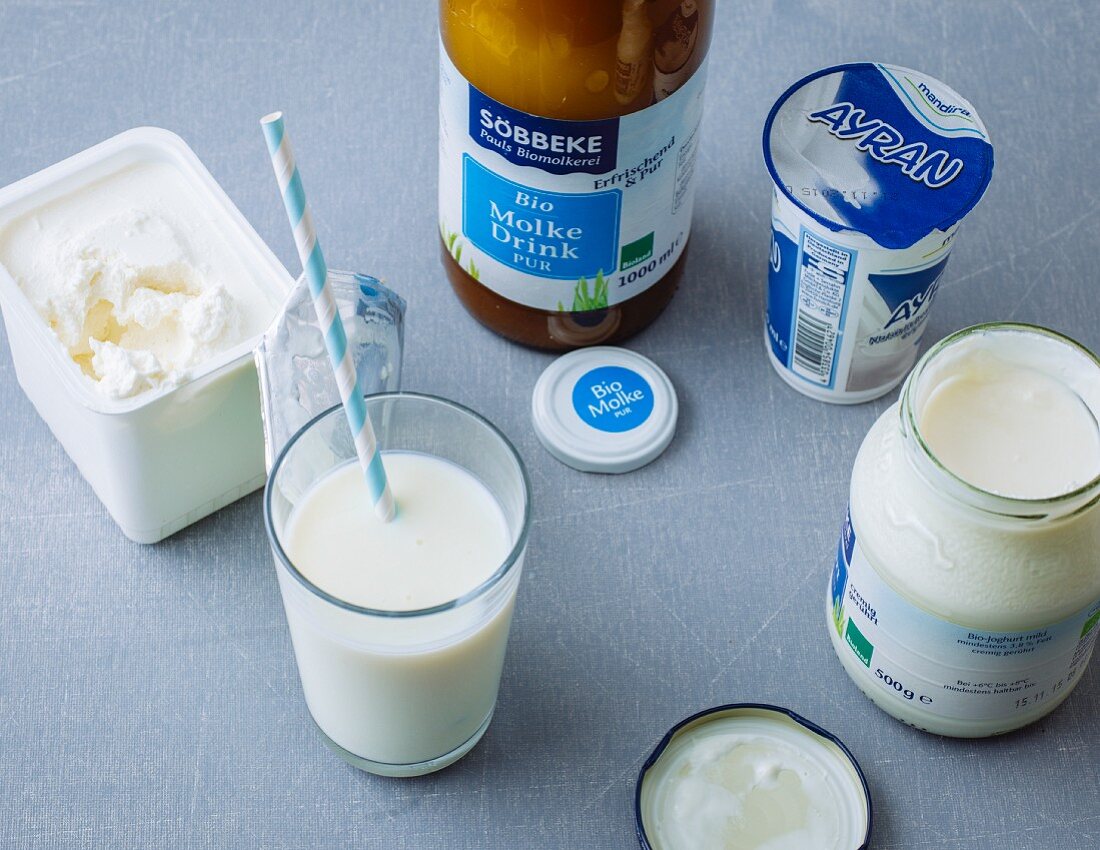 Dairy products (milk, yoghurt, ayran, whey drink and quark)
