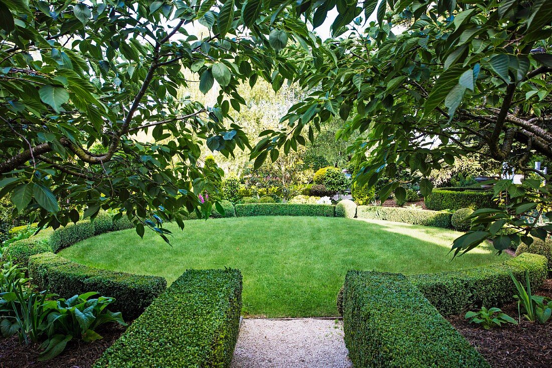 Round lawn bordered with half-height box hedge