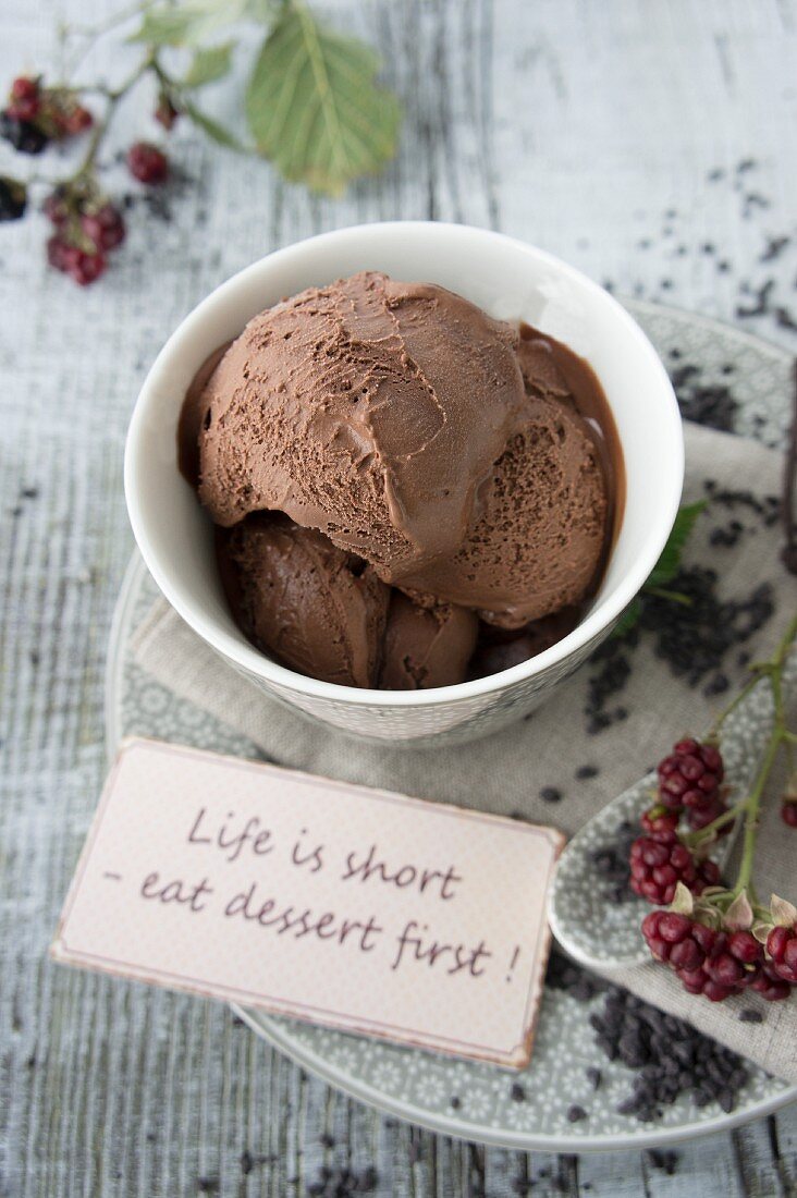 Creamy chocolate ice cream