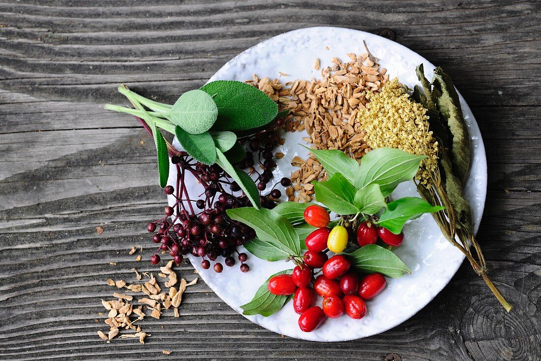 Cornelian cherries, elderberries, sprigs of herbs and nuts on white plate