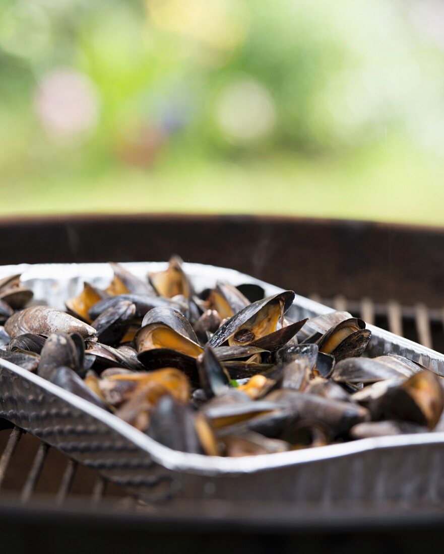 Mussels in an aluminium frame on a barbecue