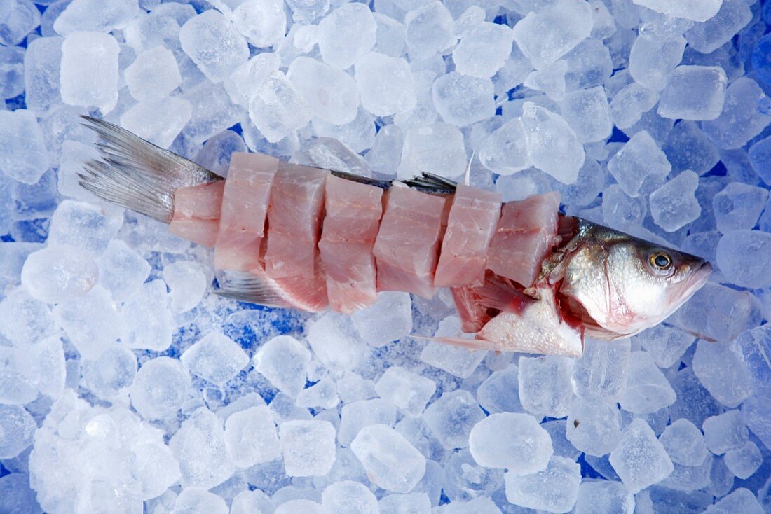 Frischer Fisch, in Streifen geschnitten, auf Eiswürfeln vor blauem Hintergrund