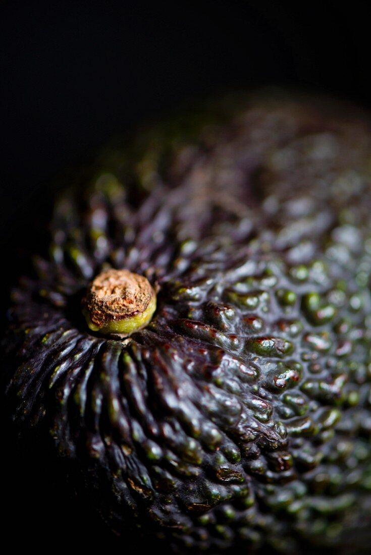 An avocado (close-up)