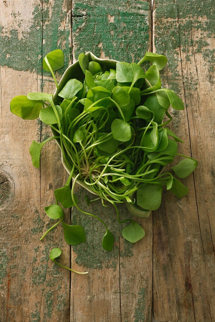 Purslane on a wooden surface