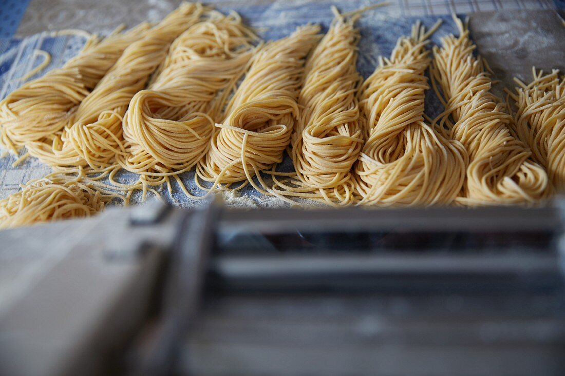 Fresh spaghetti on a tea towel