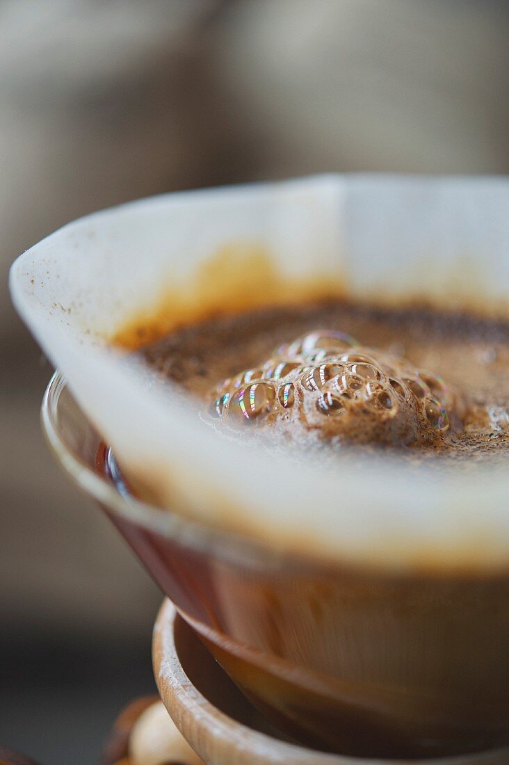 Filter coffee being brewed, roasting house and cafe 'Elbgold' in Hamburg