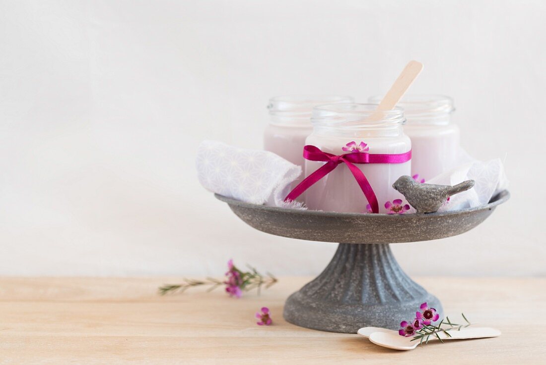 Homemade yoghurts with blueberry powder in a bird bath