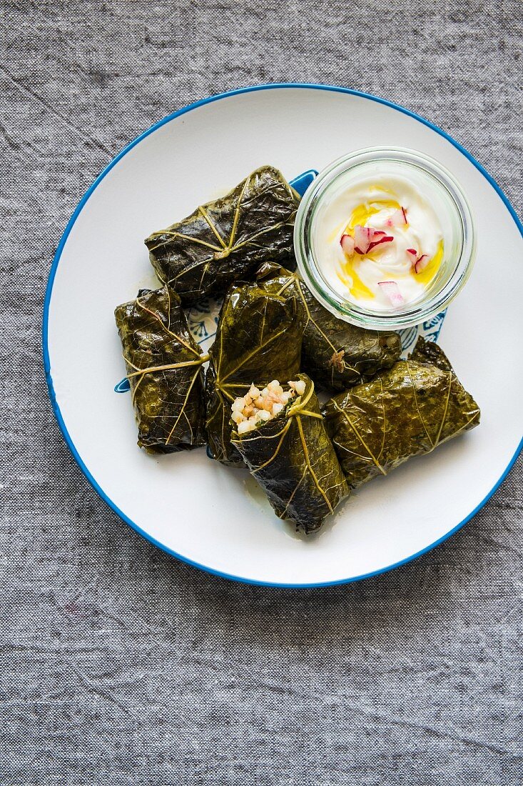 Stuffed vine leaves with a yoghurt dressing