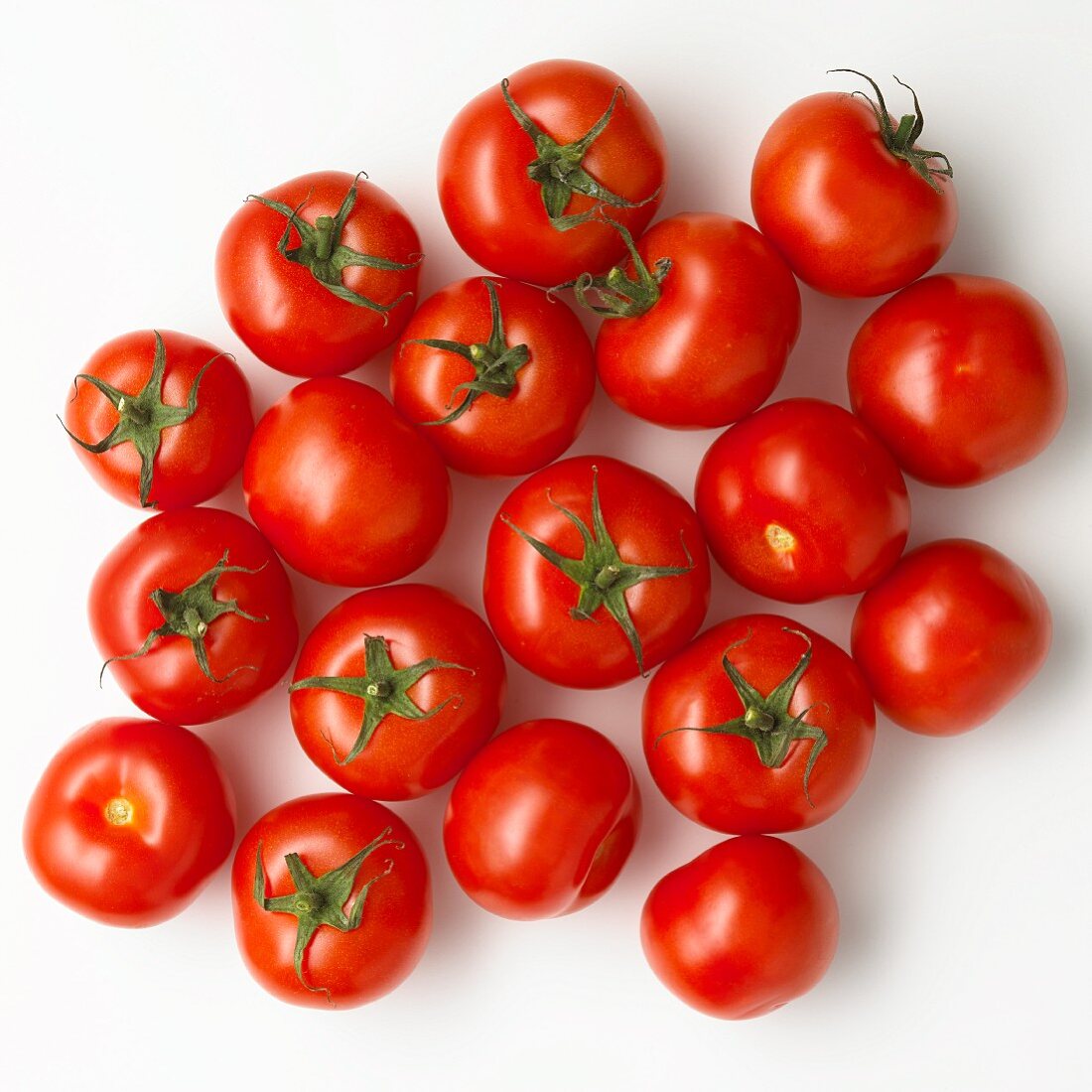 Mehrere Tomaten auf weißem Untergrund (Aufsicht)