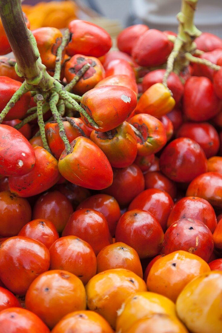 Tomates de Arbol (zum Entsaften) bei einem Strassenhändler in Bogota, Kolumbien