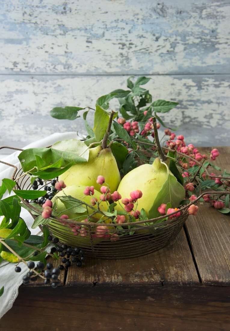 Quinces and spindle in a wire basket