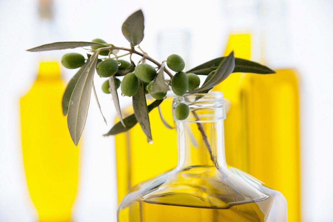 A sprig of olives in a bottle of olive oil