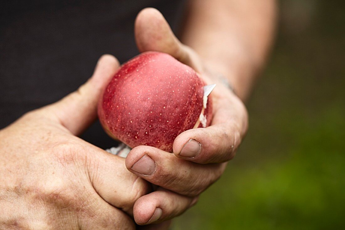 A man cutting an apple with a knife