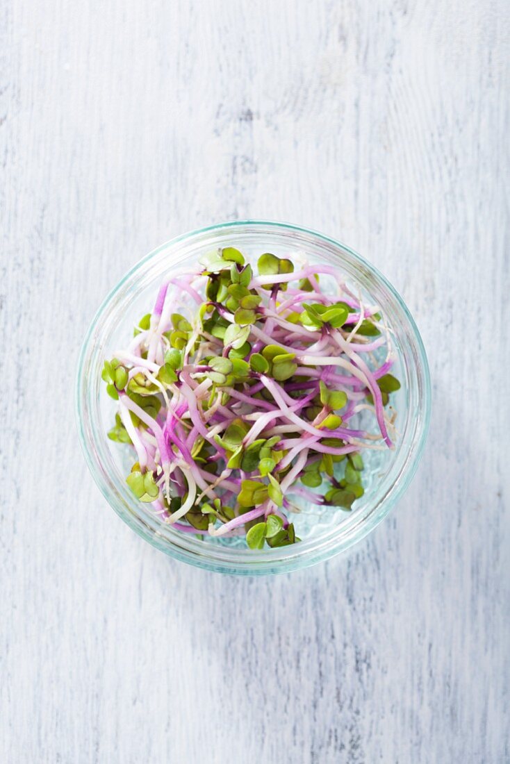 China rose sprouts in a glass bowl (seen from above)