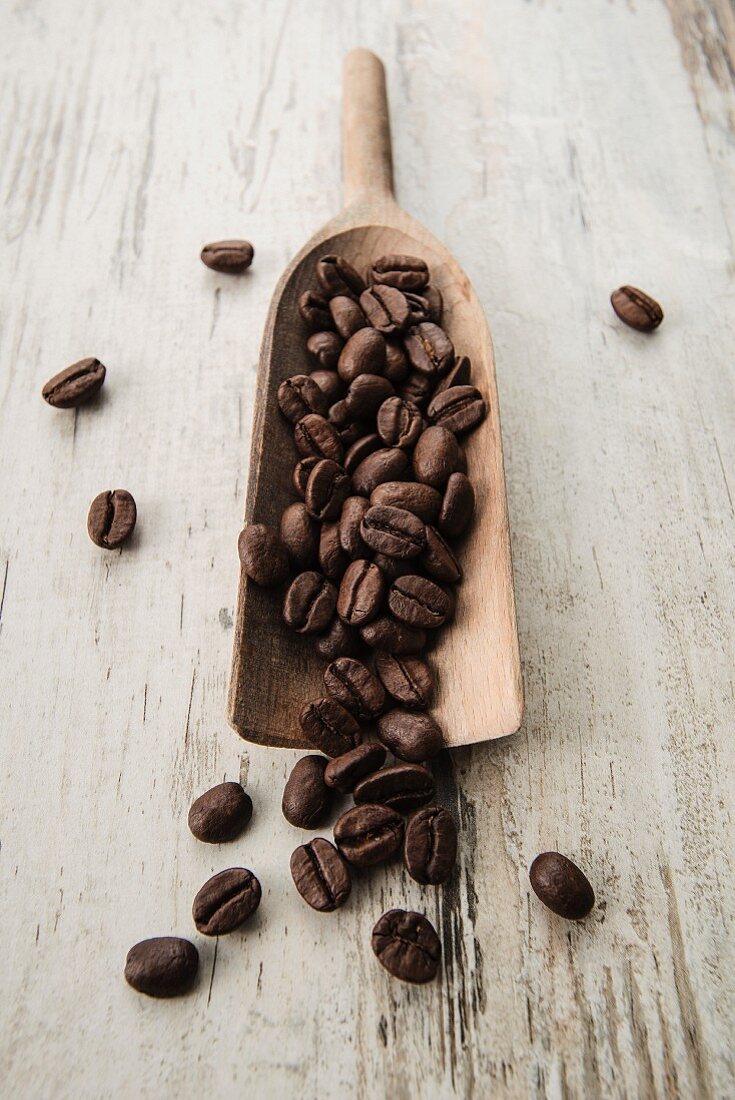 Coffee beans on a scoop on a light wooden surface