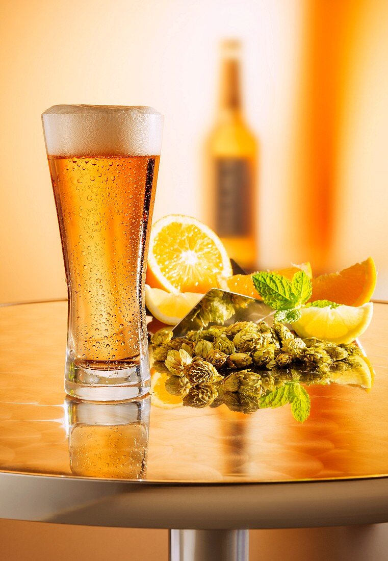 Frisch gezapftes Bier im Glas auf Metalltisch vor Stillleben mit Hopfen, Zitronen und Bierflasche