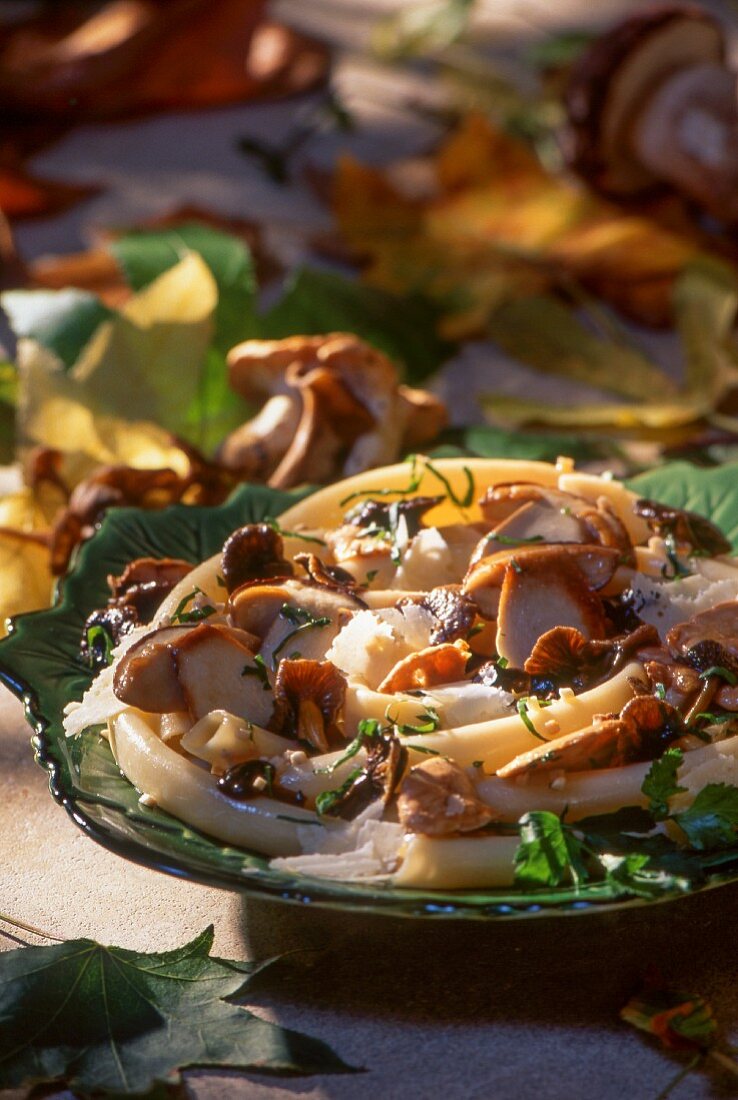 Pasta with porcini mushrooms and chanterelle mushrooms