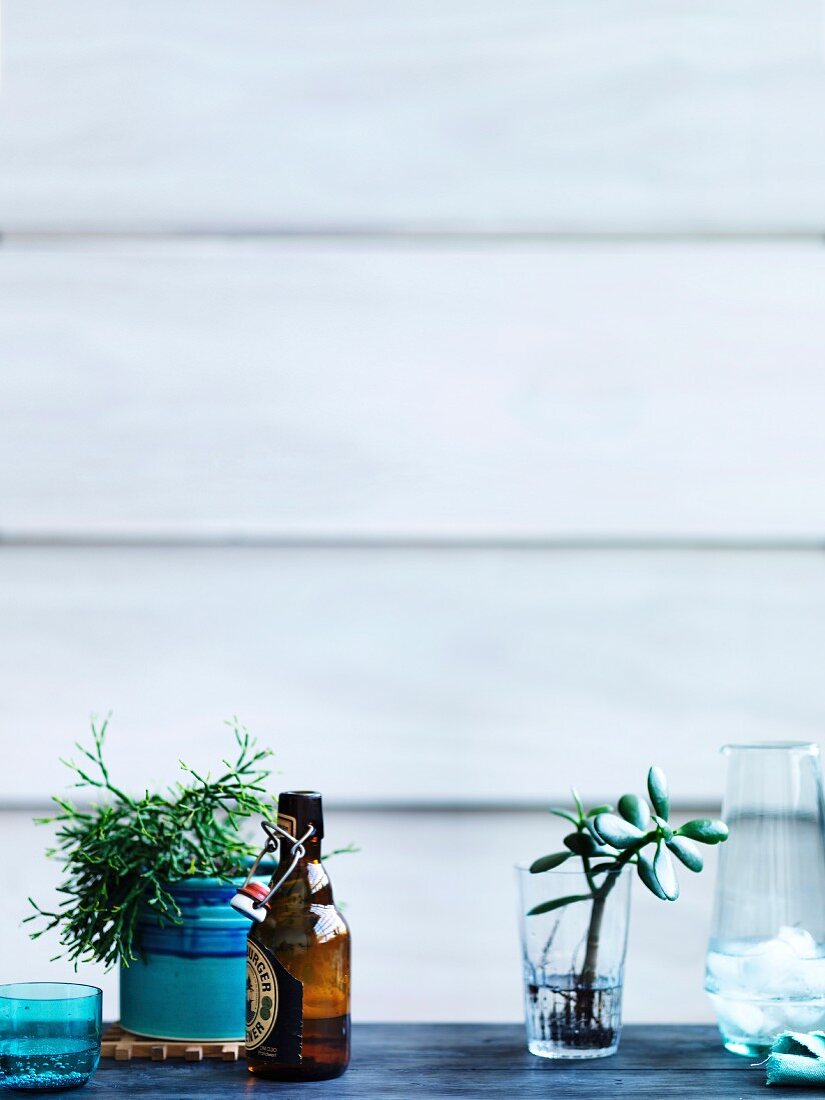 Beer bottle, water glass and plants against light background