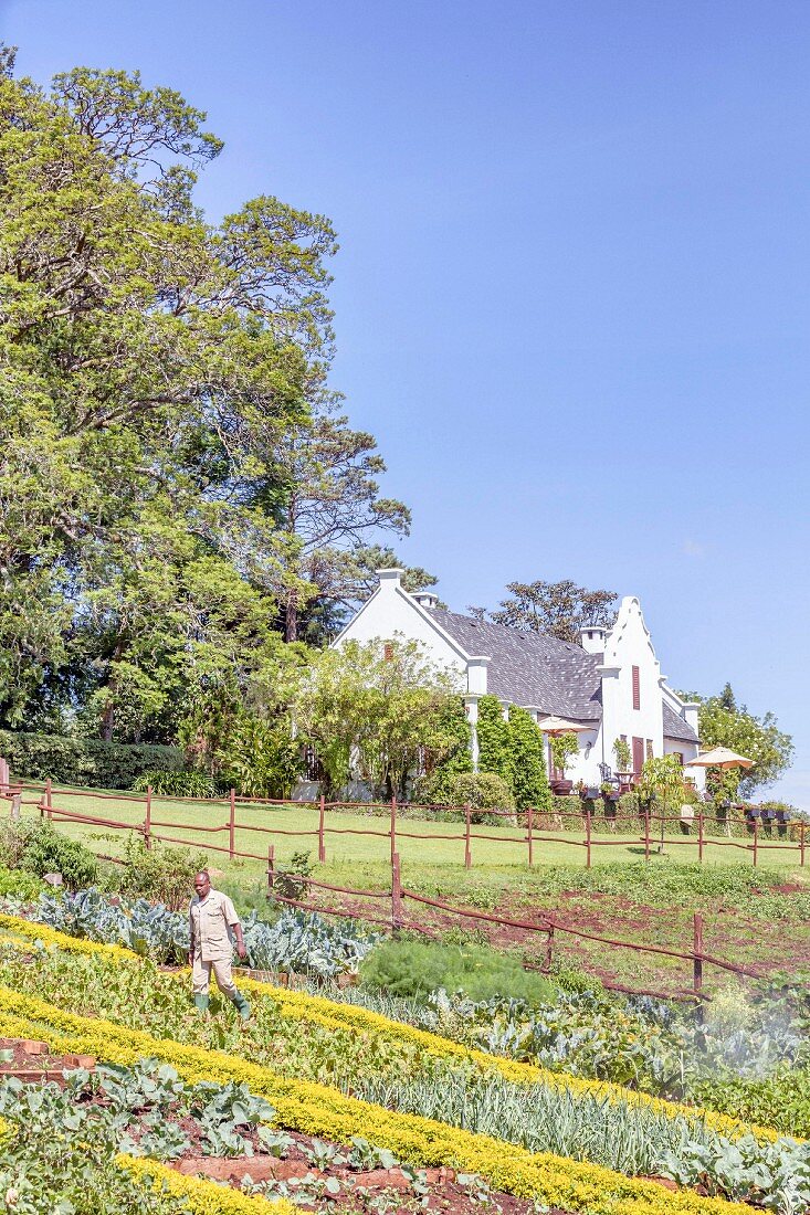 Hotel 'The Manor at Ngorongoro' in der Serengeti, Tansania, Afrika