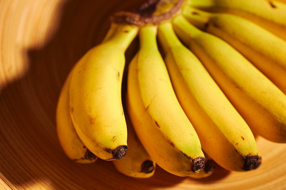A bunch of baby bananas
