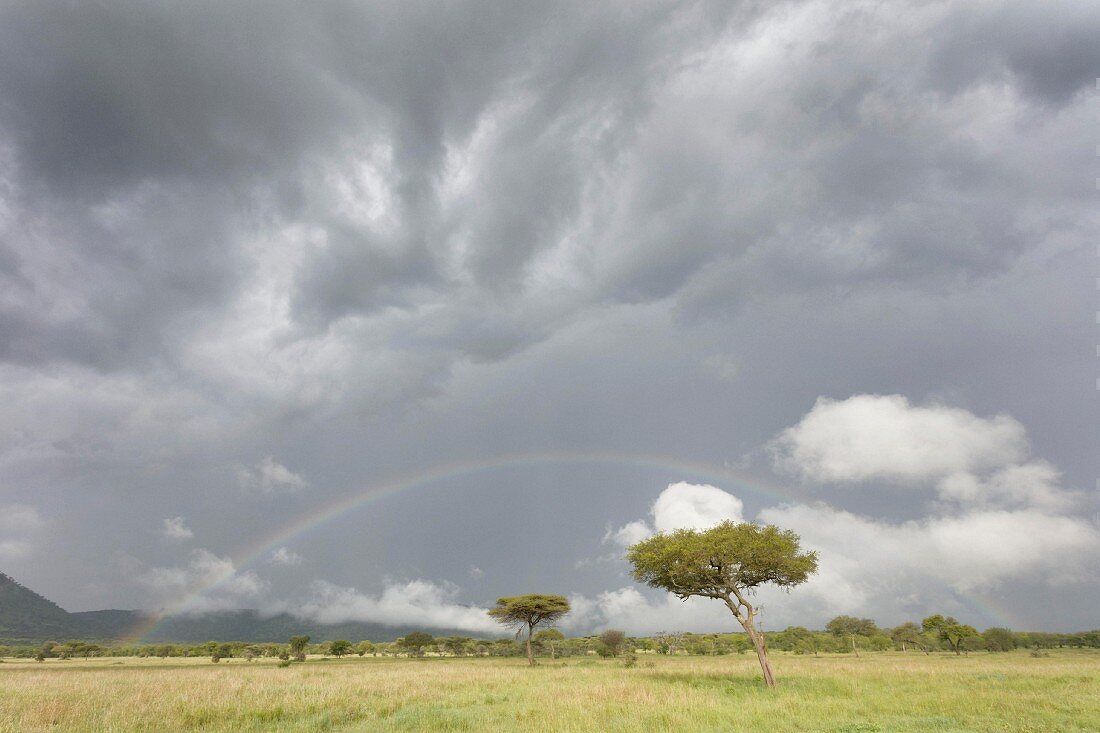 A rainbow in the Serengeti Wildlife Reserve, Tanzania, Africa