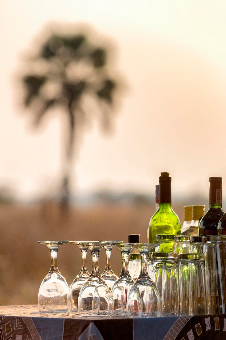 A mobile bar in a walking safari camp, Zambia, Africa