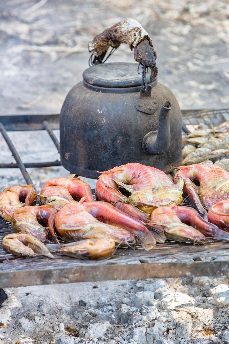 Fresh fish and a kettle on a barbecue, Zambia, Africa