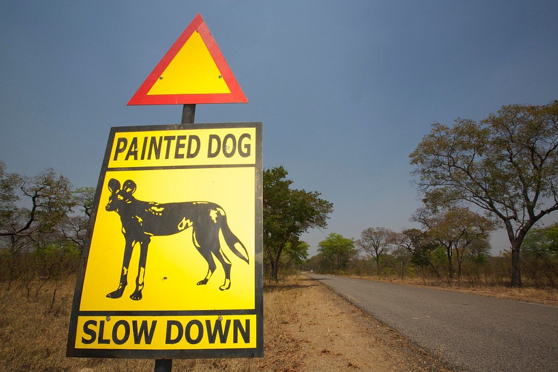 Warnschild mit Wildhund neben Strasse, Simbabwe, Afrika